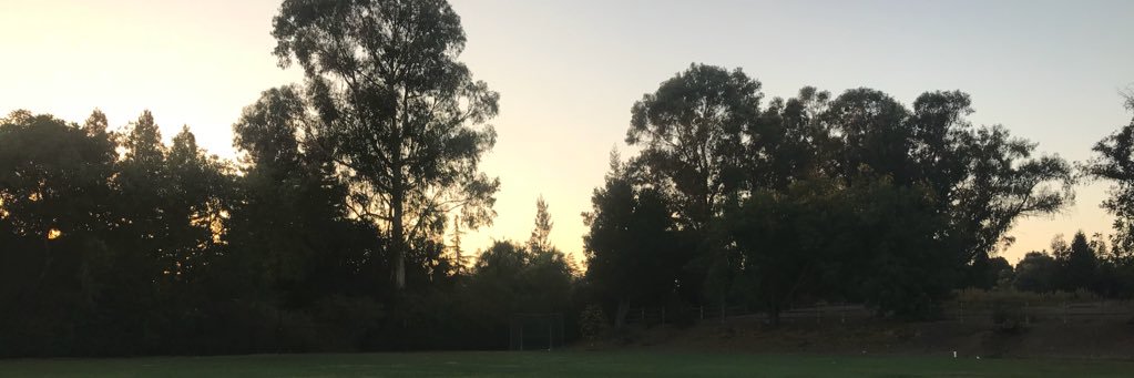 MrOrtman's profile banner image