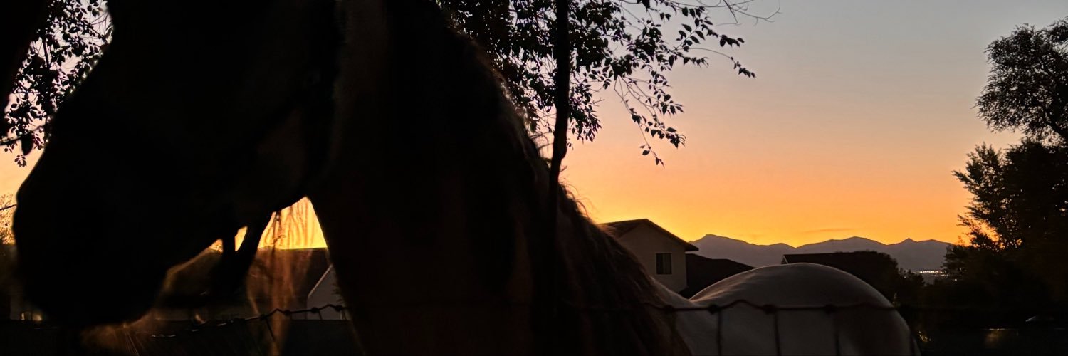 addyournamk2z's profile banner image