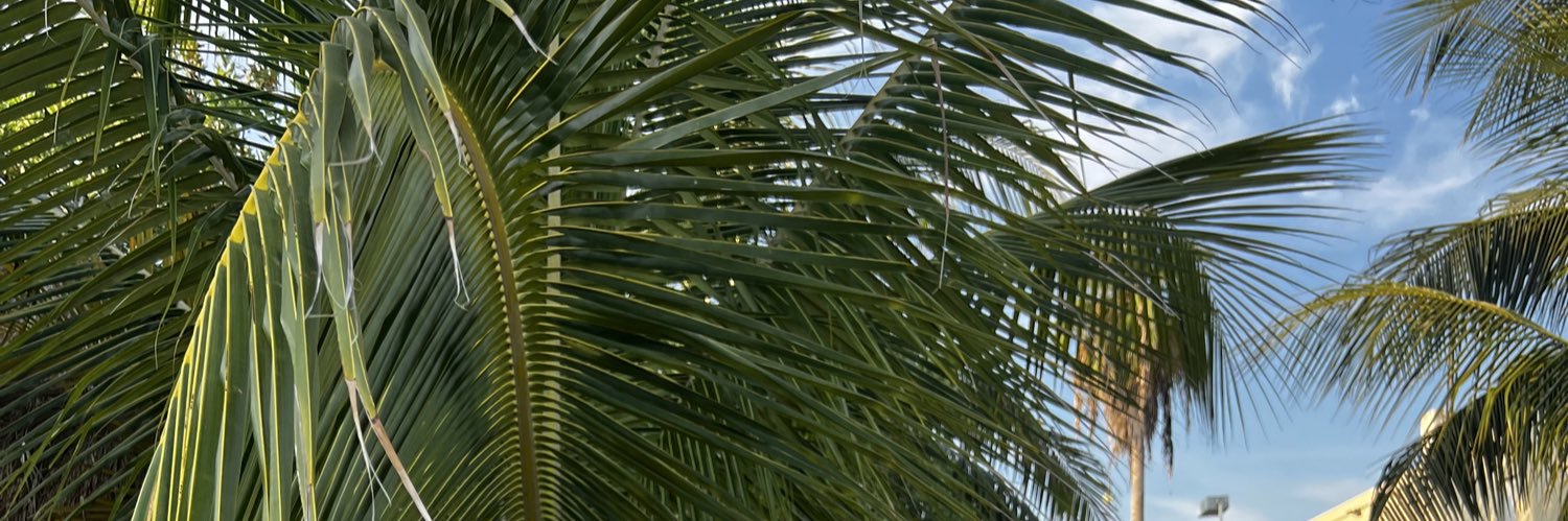 marcoporras22's profile banner image
