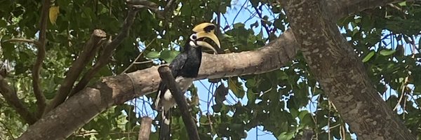 R_RB6767 Profile Banner