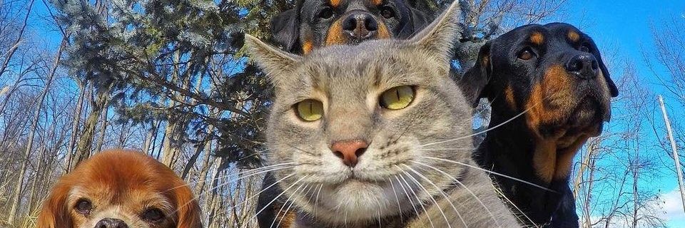 rafikacd's profile banner image