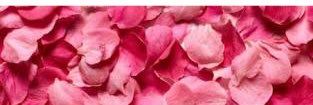 osr_rn's profile banner image