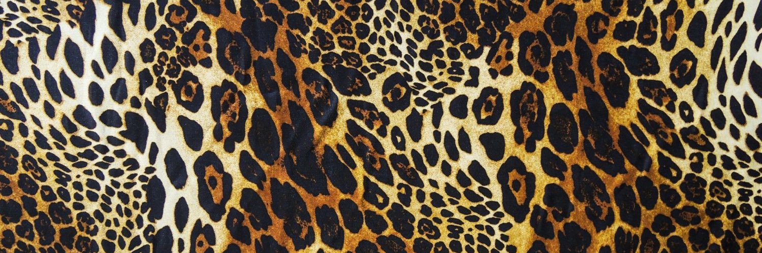 ashleykatespade's profile banner image