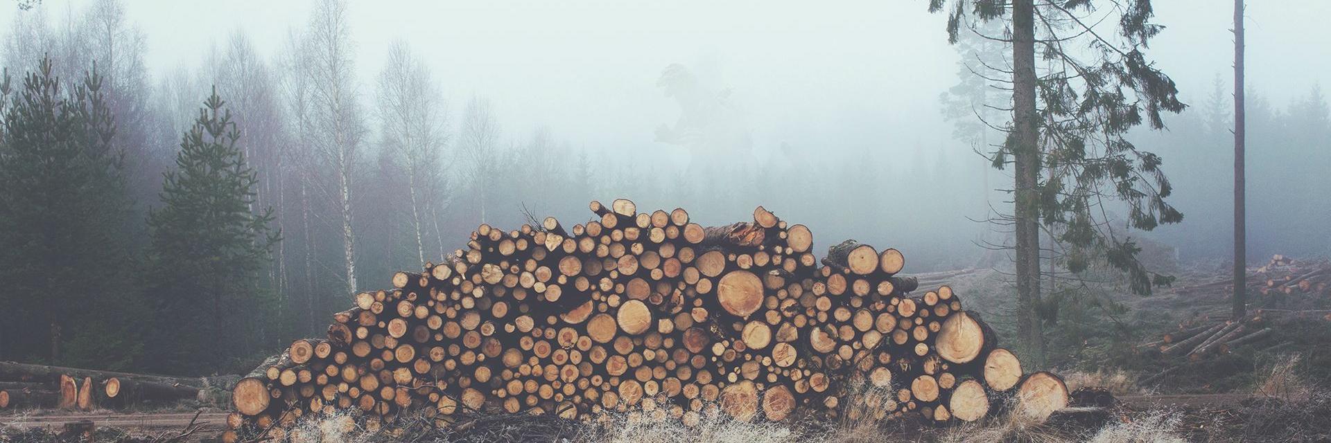 JakeLeiby's profile banner image
