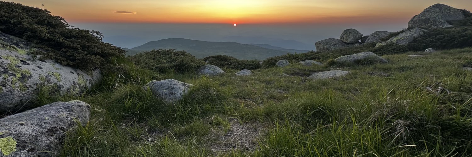 Boris Borisov banner