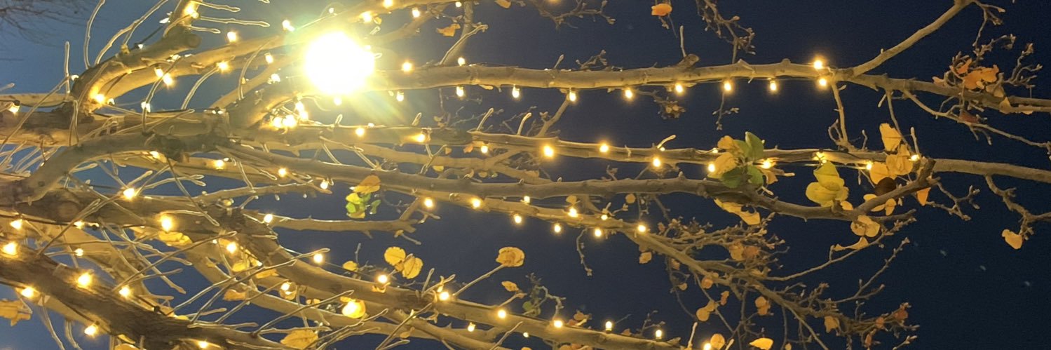 Laina1209's profile banner image