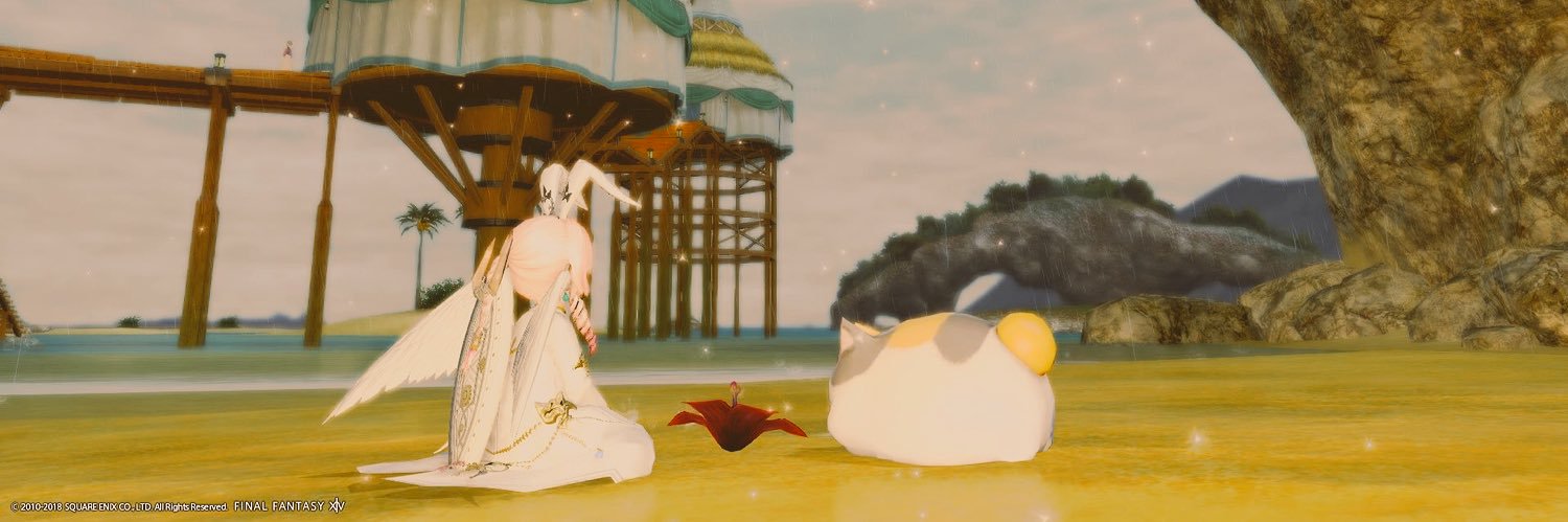 reireitu's profile banner image