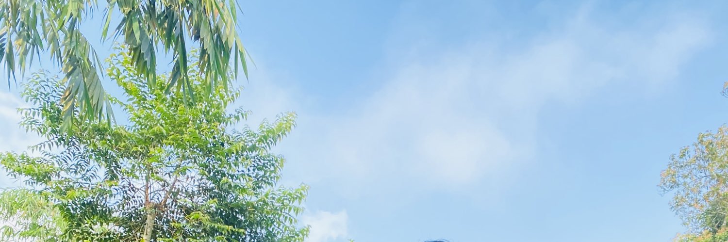 hsnnfsh's profile banner image