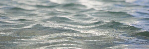 triprod1829 Profile Banner