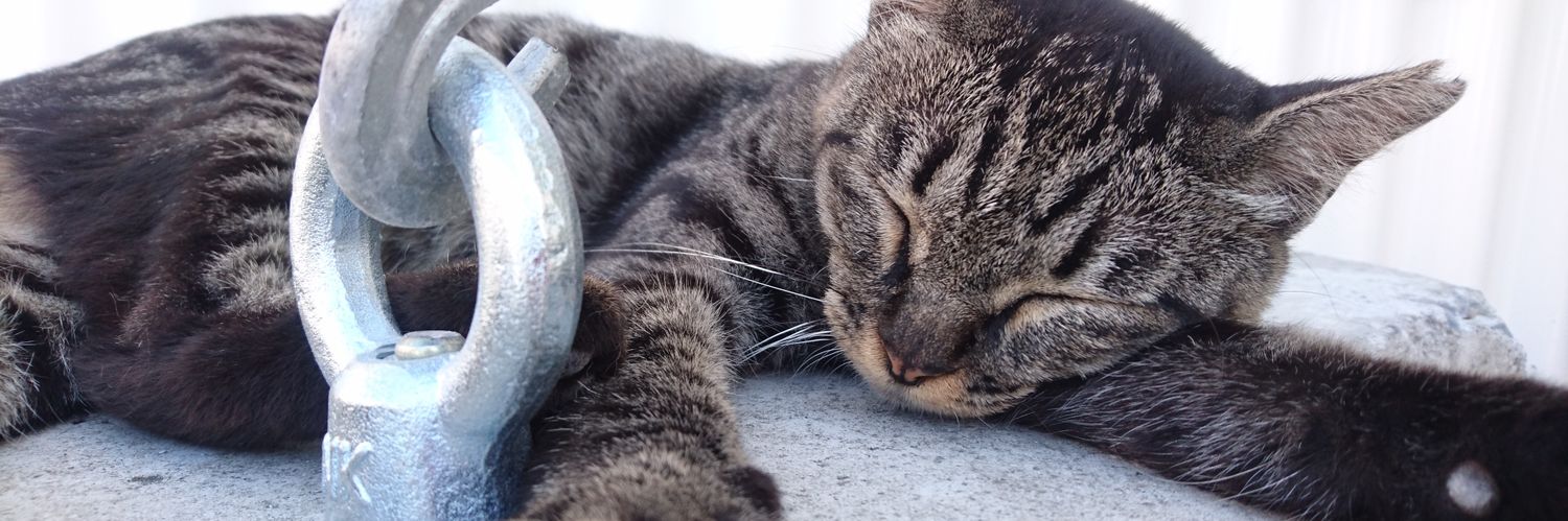 まこと(._.) banner