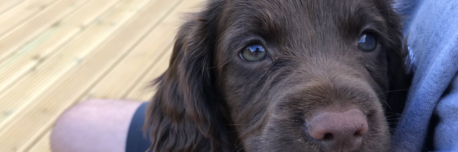 Gareth Francis banner