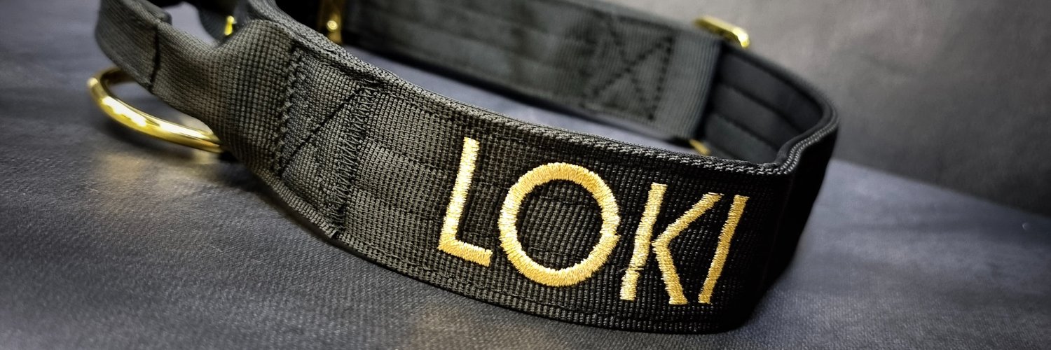LOKI(1000x Meme COİN) banner