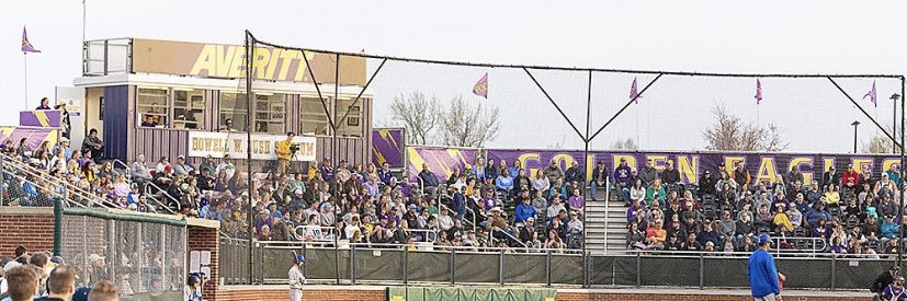 Matthew Meadows banner