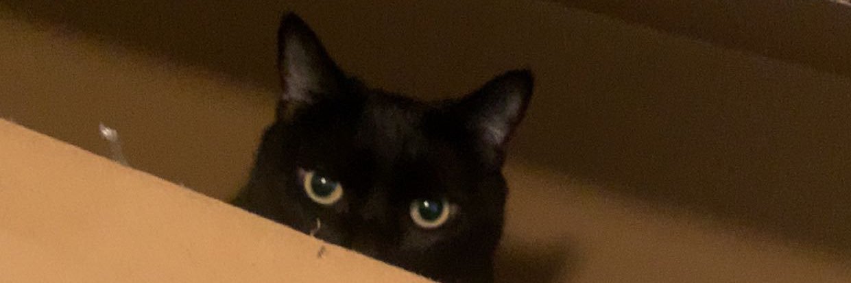 ew_rebecca's profile banner image