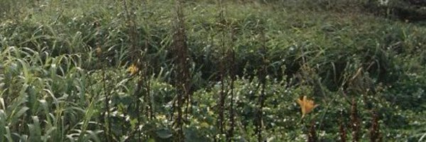 U_and_YOU Profile Banner