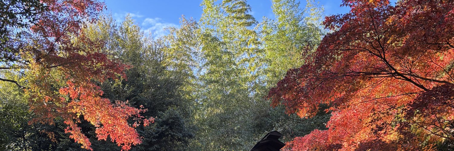 AlexChitem's profile banner image