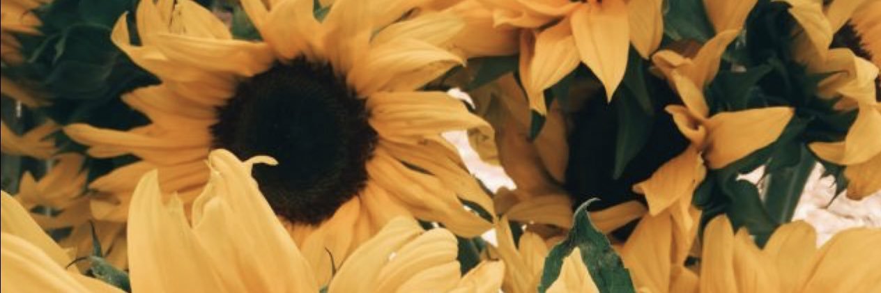 mami_crystall's profile banner image