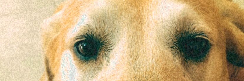 Martestone_'s profile banner image
