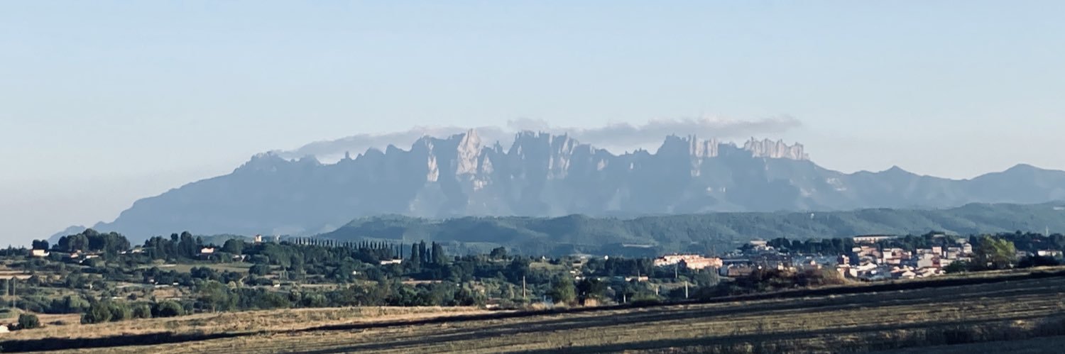 Víctor González banner