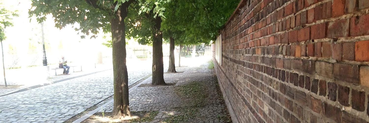kvasya1602's profile banner image
