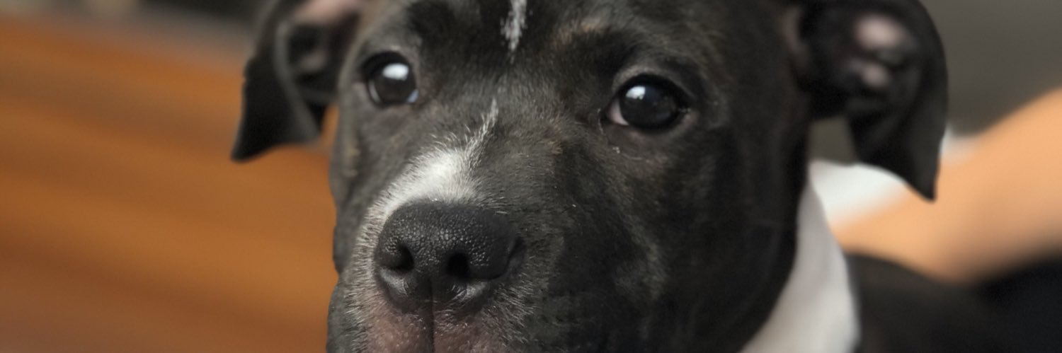 kkkemp99's profile banner image
