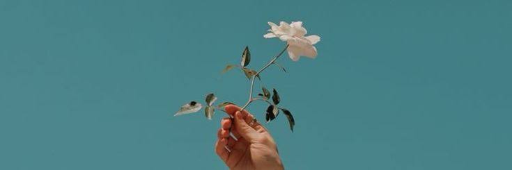 Bigwineasy__'s profile banner image