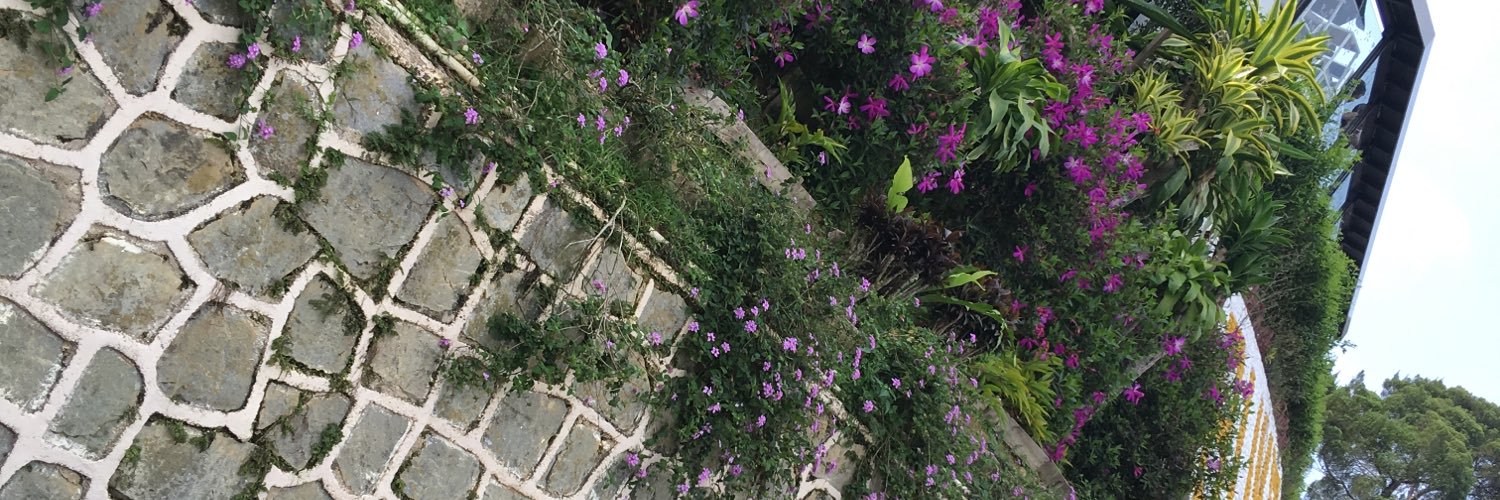 JaszdeolUser's profile banner image