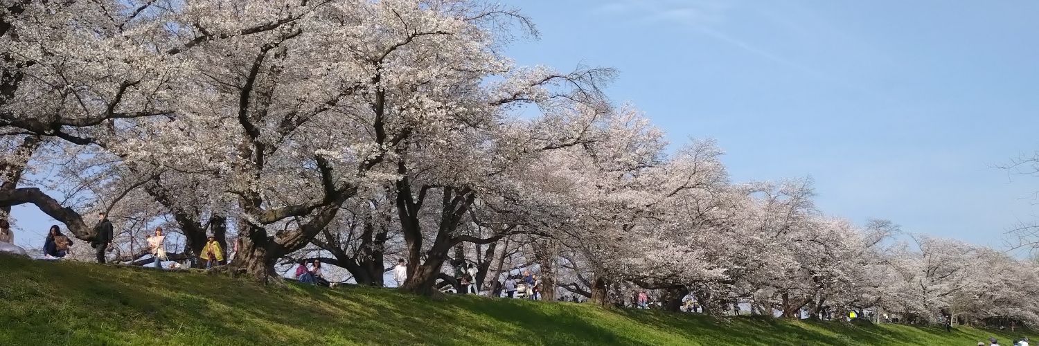 797369's profile banner image
