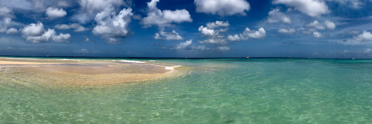 James Calvert banner