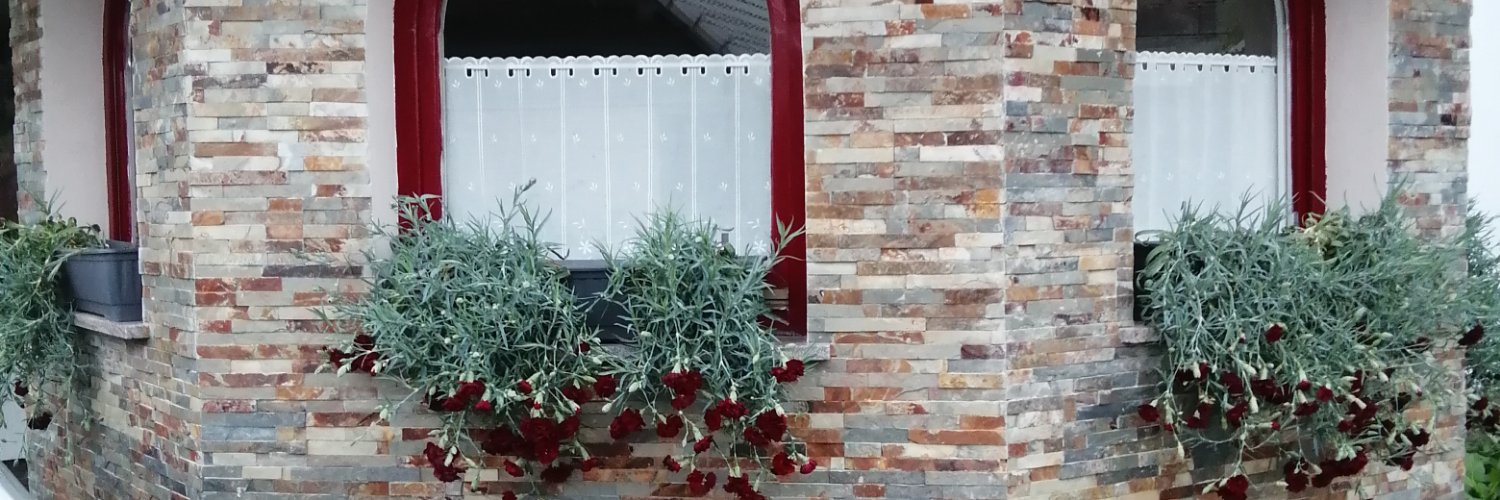 povse9's profile banner image