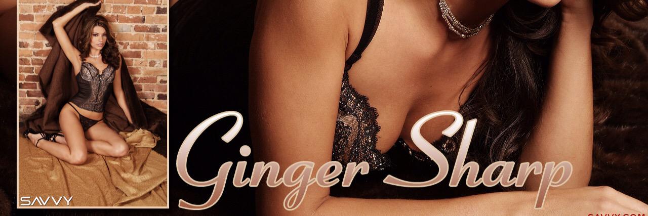 gingersharp1's profile banner image