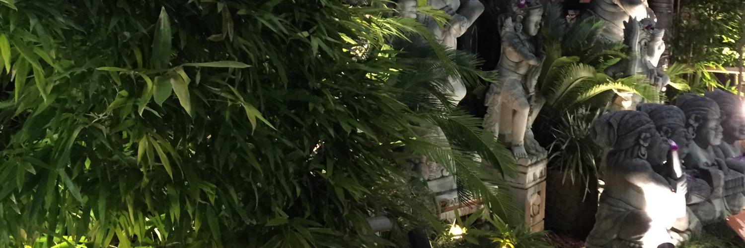 365730617's profile banner image
