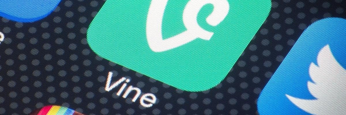 Vinecoin's profile banner image
