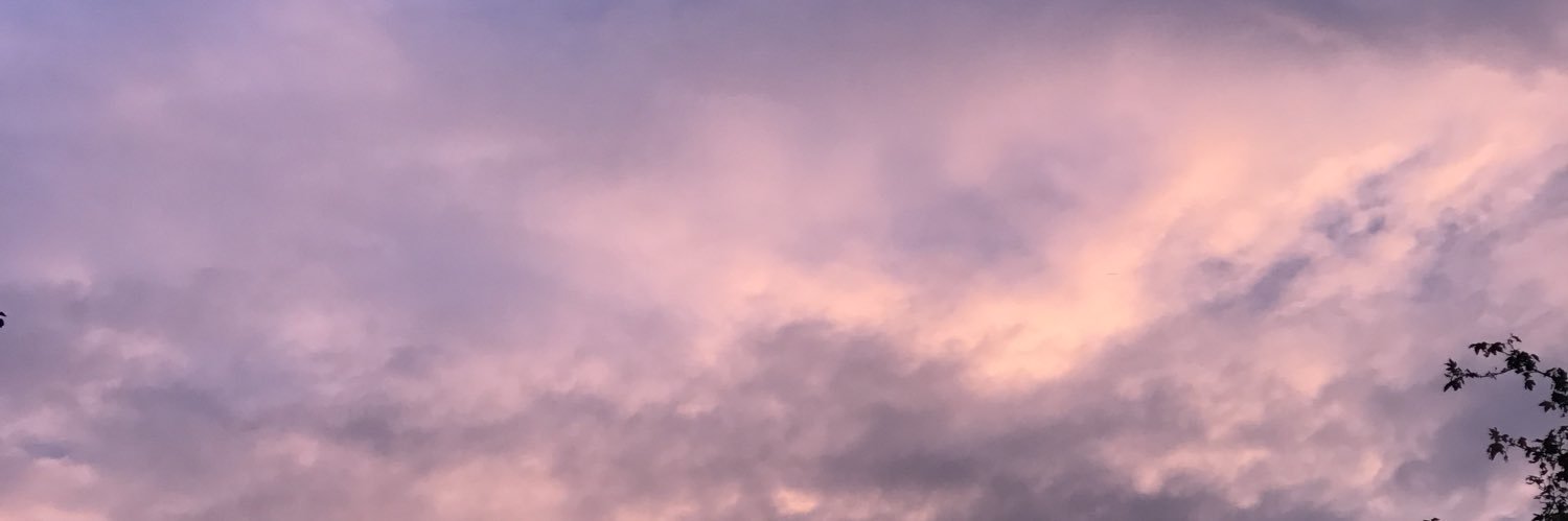 WillCat1's profile banner image
