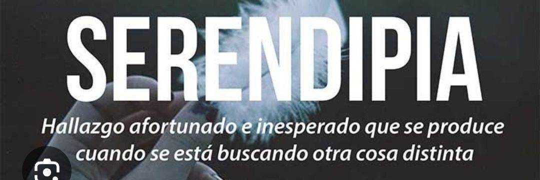 serendip2020's profile banner image