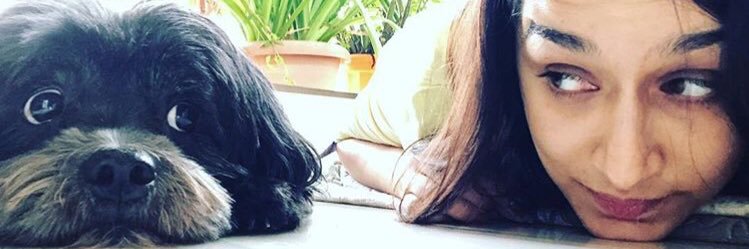 PKundlas's profile banner image