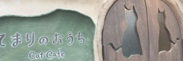 cuweine's profile banner image
