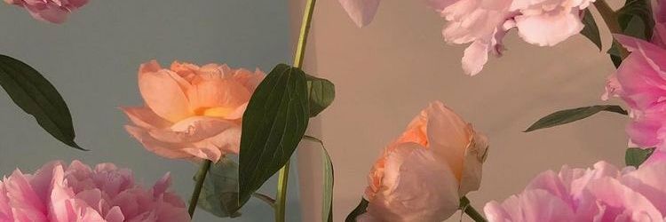phakarr's profile banner image