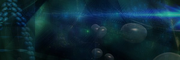 NancyFulda Profile Banner