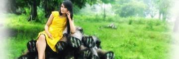CucunRC's profile banner image