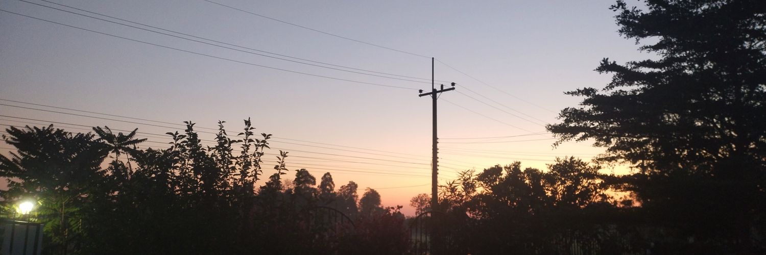 P__1995's profile banner image