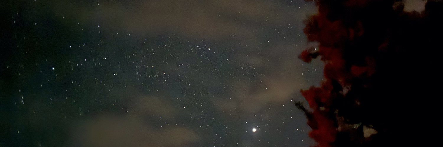 callapygian's profile banner image