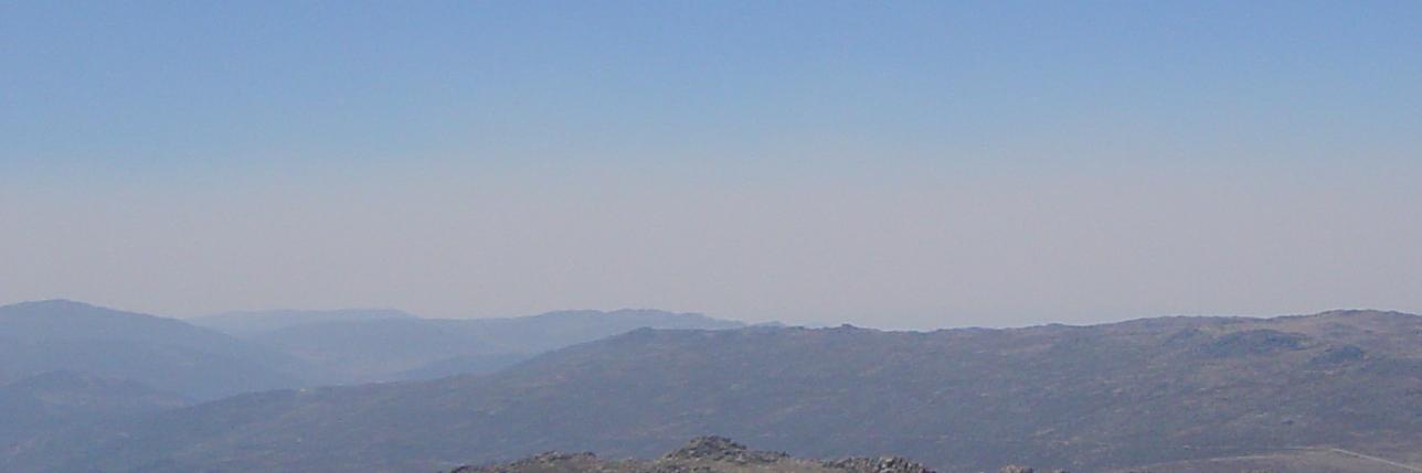 L̷̠̝̺̯͊͊̒0̷̢̮̣̜̏̆̃̕L̴̨̘̟͂͘D̶̨͌͋̕ã̵̼̖͑͋v̵̯͍̠̘̓̇̒͜e banner