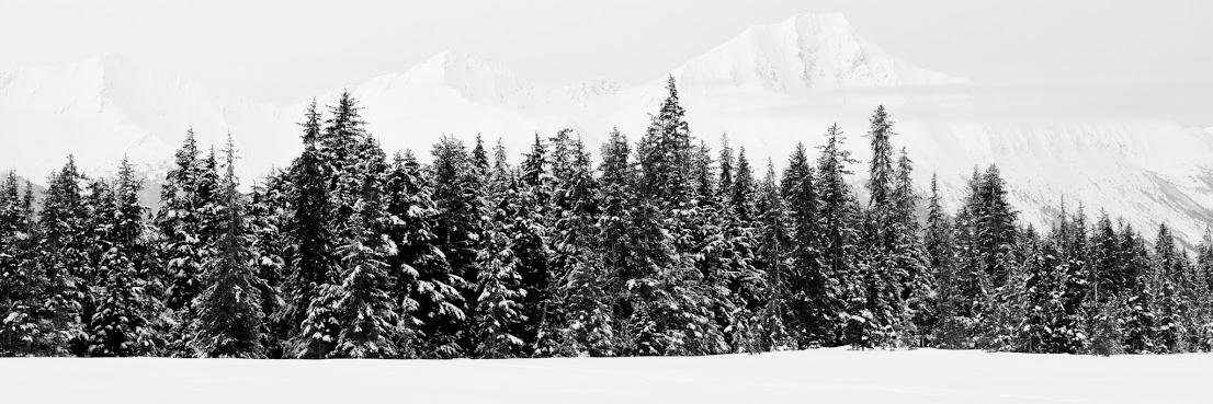 Enleur's profile banner image