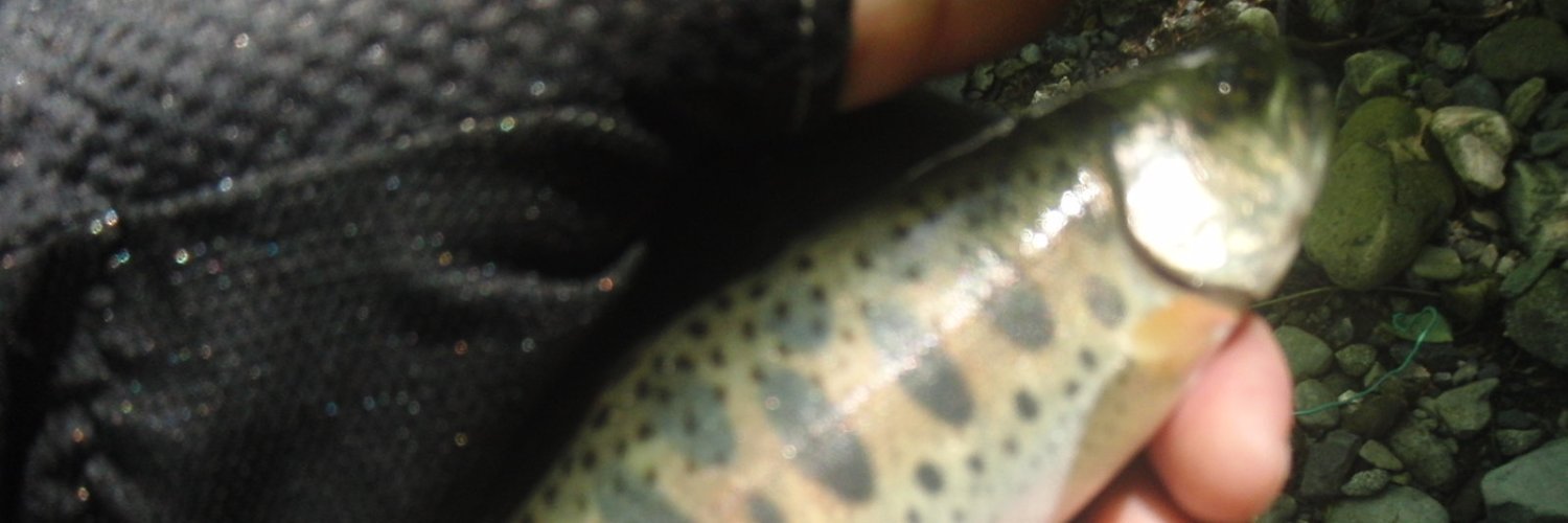 rodrod_k's profile banner image
