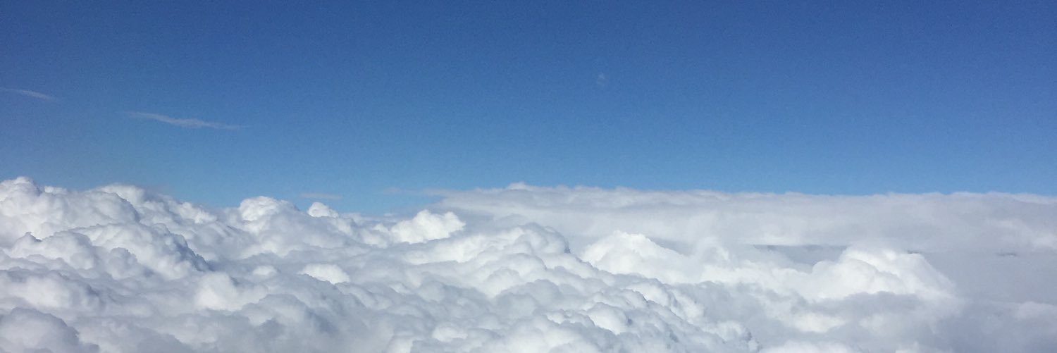 ojiveron's profile banner image