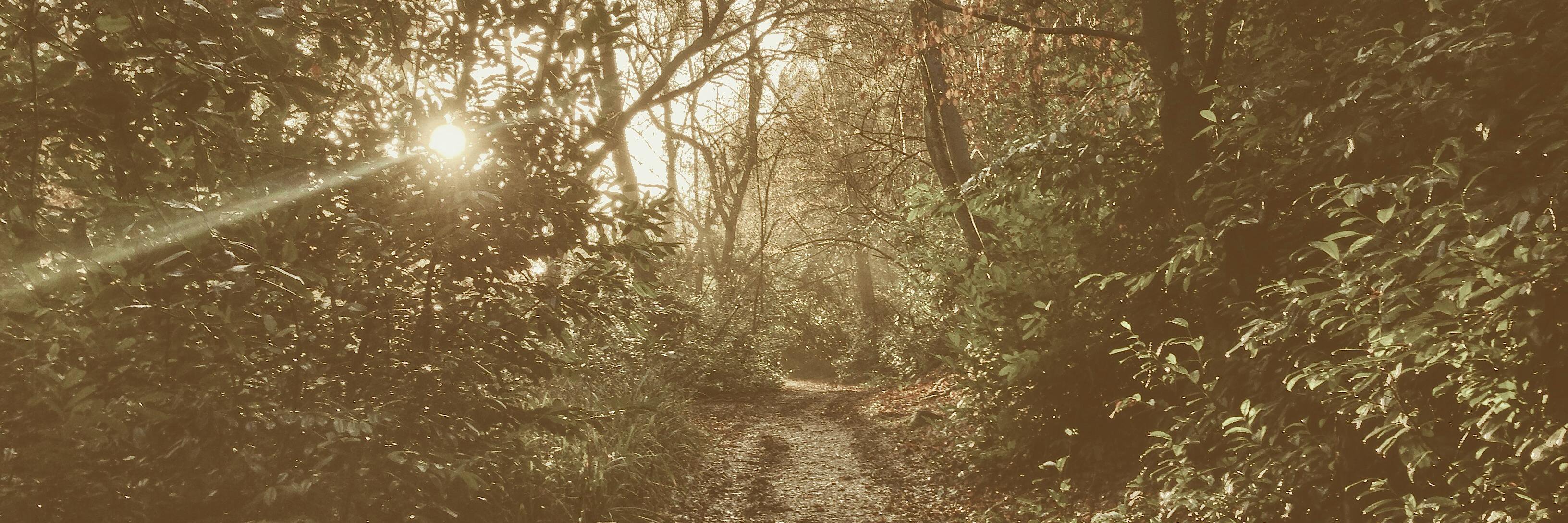 iamTomBird's profile banner image