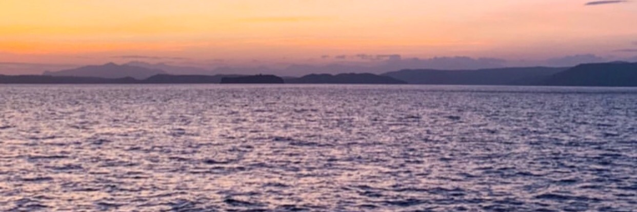 silvapermata's profile banner image