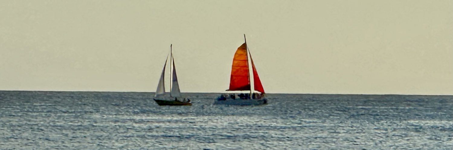 Stacey Chosed banner