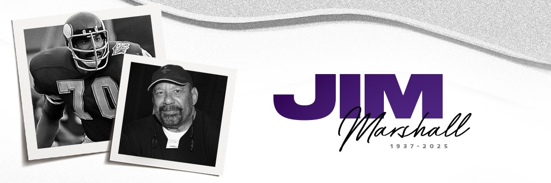 Minnesota Vikings's banner
